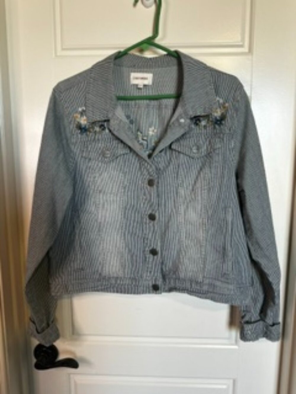 Driftwood Jean Jacket with Embroidery